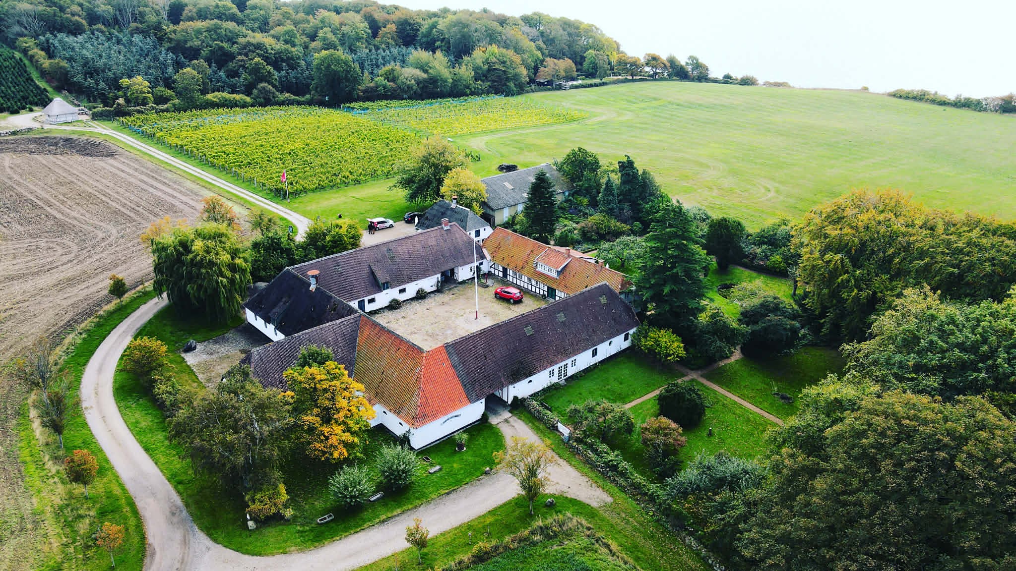 Kom med på bedriftsbesøg hos Kimesbjerggård Vingård på Sydfyn
