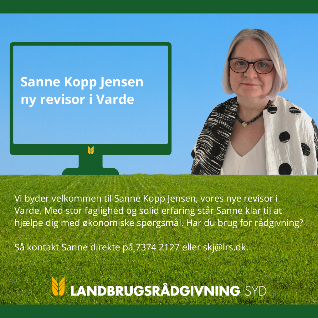 Sanne Kopp Jensen ny revisor i Varde